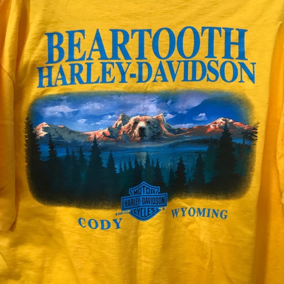 NEW - Harley Davidson H-D Y2K Beartooth MT Motorcycle Shirt L - Made in USA - Picture 7 of 8